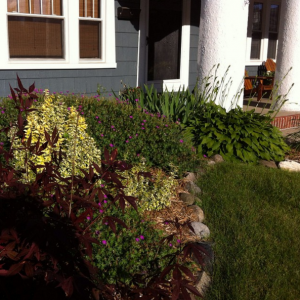 craftsman home with beautiful spring garden out front
