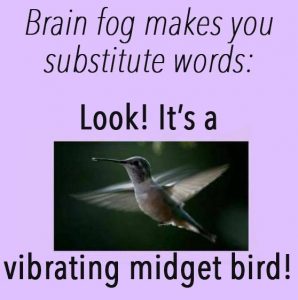 hummingbird with words, "Brain fog makes you substitute words: Look! It's a vibrating midget bird!"