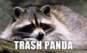 raccoon with words, "trash panda" over top to demonstrate brain fog