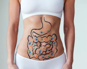 woman's abdomen with digestive organs painted on the skin