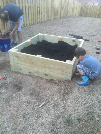 Garden box in yard